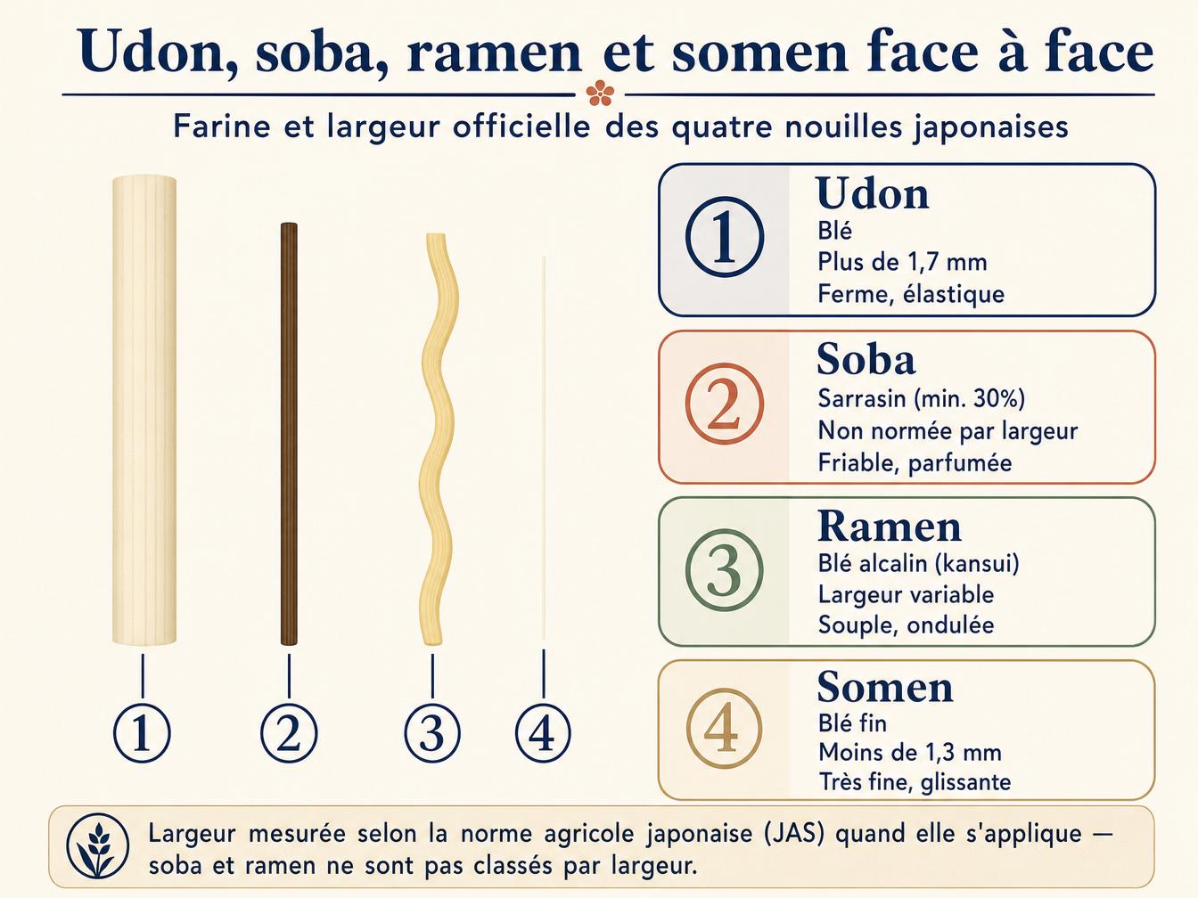 Comparatif farine et largeur udon soba ramen somen